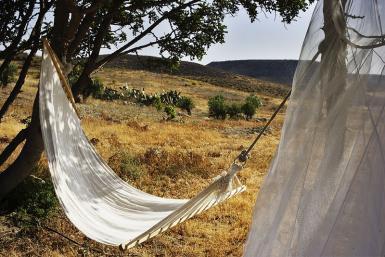 ホテル Cortijo Los Malenos Níjar エクステリア 写真